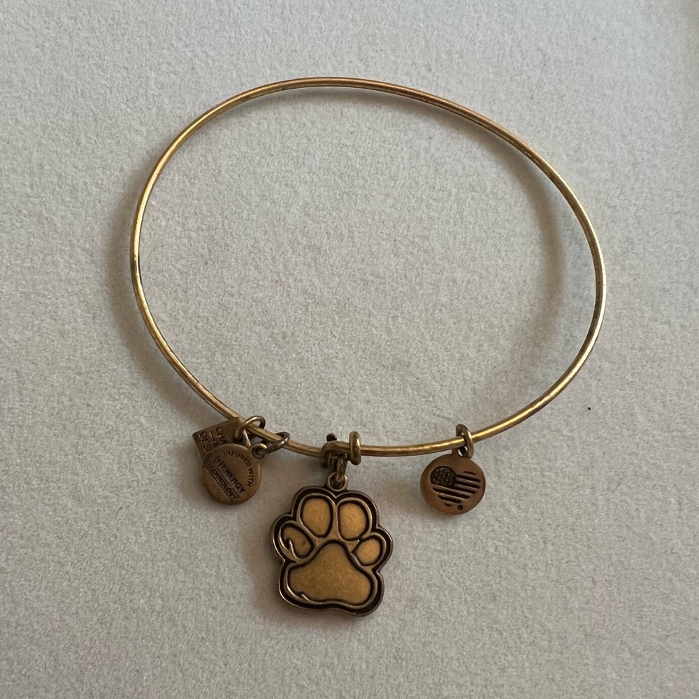 Alex and Ani Paw print bracelet